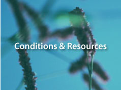 Conditions & Resources