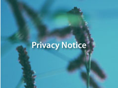 Privacy Notice